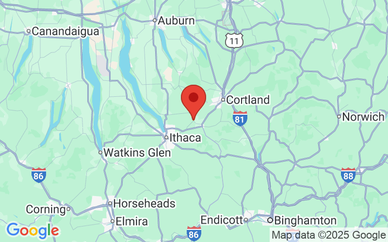 607 Area Code Phone Numbers YouMail